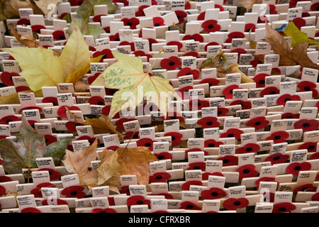 Gefallene Herbstlaub unter Denkmal Kreuze und Mohn am Remembrance Day Sonntag außerhalb der Westminster Abbey in London Stockfoto