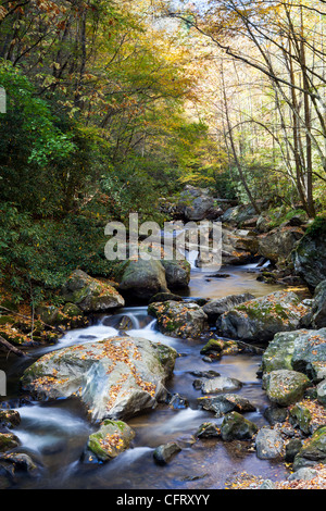 Die Tallulah River ist etwa 48 km lang mit seinem Quellgebiet in North Carolina und fließt durch die nördliche Georgia bis es die Chattoga Fluss verbindet der Tugaloo zu bilden. Es ist eine Zeichenfolge von 4 künstlichen Seen in Georgien; See Burton, See, Lake Rabun, und See Tallulah fällt. Es läuft auch durch das, was als Tallulah Gorge, die zahlreichen Wasserfälle bekannt ist. Stockfoto