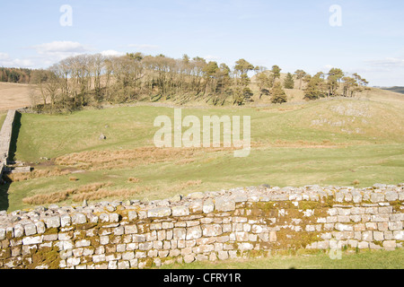 Housesteads am Hadrianswall - England Stockfoto