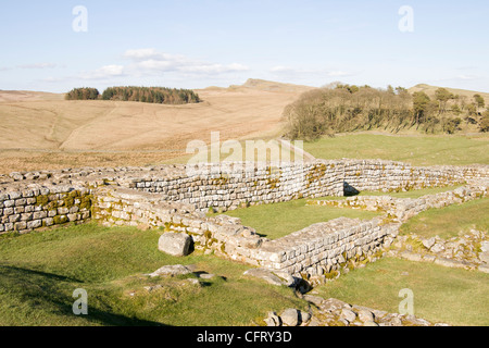 Housesteads am Hadrianswall - England Stockfoto