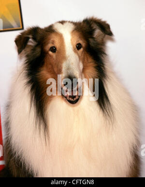 12. Januar 2007; Hollywood, Kalifornien, USA; LASSIE auf der 12. Annual Critics Choice Awards statt im Santa Monica Civic Auditorium. Obligatorische Credit: Foto von Lisa O'Connor/ZUMA Press. (©) Copyright 2007 von Lisa O'Connor Stockfoto