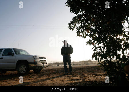 19. Januar 2007 - Orange Cove, CA, USA - TOM CLARK, President und general Manager von Sunny Cove Verpackung Haus, Besuche Einfrieren, einem Orangenhain, die erlitten schwere Schäden.  Clark, dessen Familie seit mehr als 100 Jahren im San Joaquin Valley gezüchtet hat, schätzt, dass verlor er knapp 80 Prozent seiner Stockfoto