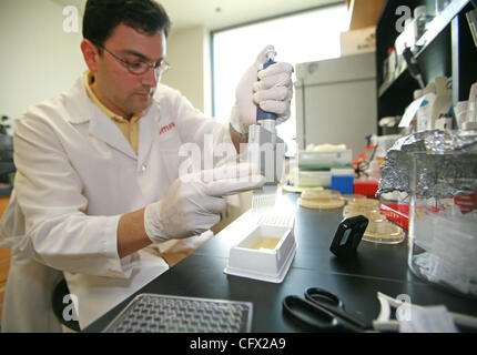 Raphael Levy, Wissenschaftler am Xoma, überträgt Medien Wachstum für Bakterien aus einem Reservoir in eine 96-Well-Platte auf ihre Labortory in Berkeley, Kalifornien auf Montag, 19. März 2007 (Diana Diroy / der Oakland Tribune). Stockfoto