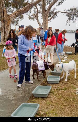 28. April 2007 - Dana Point, Kalifornien, USA - Hundebesitzer sammeln für ein Wochenende "Wag-A-Thon" in Dana Point, Kalifornien. (Kredit-Bild: © Spencer Grant/ZUMA Press) Stockfoto