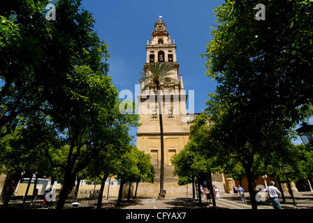 Cordoba. La Mezquita de Córdoba, tatsächliche Catedral. Patio de Los Naranjos Stockfoto