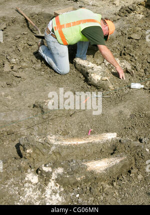 Donnerstag, 14. Juni 2007, wurde Carlsbad, Kalifornien, USA An amerikanischen Mastodons ausgegraben auf einer Baustelle aus der Kanone-Straße und College-Boulevard in Karlsbad auf Dienstag, 12. Juni 2007.  Die prähistorischen Säugetier ist ungefähr 125.000 bis 200.000 Jahre alt, Laut Vertretern der SA Stockfoto