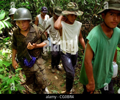 21. Juni 2007 - Chapare, Bolivien - "suchen und zerstören" Operationen der Polizei Kräfte für spezielle Betäubungsmittel (UMOPAR) in den Coca-Anbau zone genannt Chapare. Dieser Ort ist das grösste Coca Anbaugebiet in Bolivien und auch großen Kokain-Anbaugebiet. In den letzten Jahrzehnten hat die Provinz Chapare bec Stockfoto