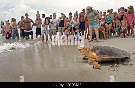 070707 traf Schildkröte Mutter Personal Foto von Allen Eyestone/The Palm Beach Post-0040244A--Juno Beach, FL... "Mutter" eine unechte Meeresschildkröte Köpfe unten am Strand nach in den Ozean von Loggerhead Marinelife Center freigesetzt bei 14200 US Highway One in Juno Beach gelegen. Loggerhead Marinelife Ce Stockfoto