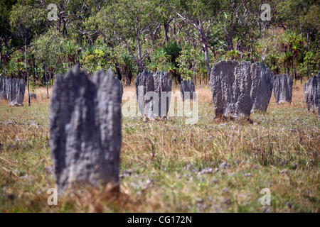 26. Juli 2007 - Darwin, Northern Territory, Australien - magnetischen Termitenhügel im Litchfield National Park. (Kredit-Bild: © Marianna Tag Massey/ZUMA Press) Stockfoto