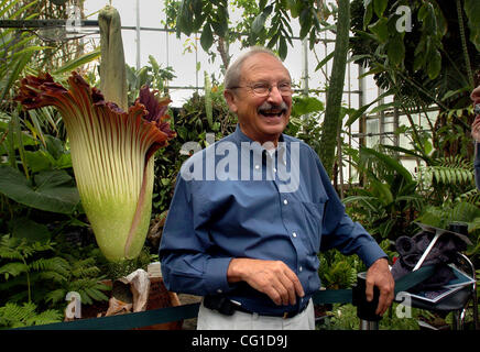 Direktor der Universität von Kalifornien Botanischer Garten Paul Licht, Ph.d. hat ein Lachen, wie er spricht und eine Titan Arum/Leiche Blume (Amorphophallus Titanumn) im Botanischen Garten University of California in Berkeley auf dem Campus der UC Berkeley in Berkeley, Kalifornien am Dienstag, August bewundert Stockfoto