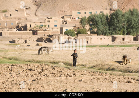 21. September 2011 - Syed Hazamah (Village, Ghor (Provinz, Afghanistan - 21. September 2011, Provinz Ghor, Afghanistan - Kinder Arbeit in einem Feld außerhalb einer Ortschaft auf dem Weg nach Syed Hazamah, einem Dorf, wo Catholic Relief Services einen ortsansässigen Lehrer als Teil seiner Community Based Education ausgebildet Stockfoto