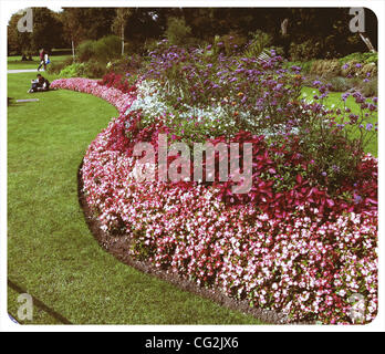 26. September 2011 - London, England, Vereinigtes Königreich - Blumen im Londoner Hyde Park. (Kredit-Bild: © Veronika Lukasova/ZUMAPRESS.com) Stockfoto