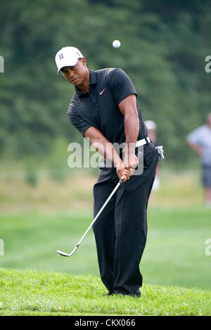 23. August 2012. Bethpage, Famingdale, New York.   Tiger Woods (USA) trifft einen Chip-Schuss während The Barclays-Meisterschaft für den FedEx Cup spielte in Bethpage Black in Farmingdale, New York. Stockfoto