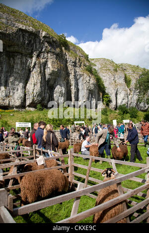 28. August 2012. Yorkshire UK: 115. Jahresausstellung Kilnsey & Sport am Feiertag Dienstag, 28. August 2012. Die Yorkshire Dales Prunkstück ist von Upper Wharfedale Landwirtschafts-Gesellschaft in der Nähe von Kilnsey Crag 12 Meilen nördlich von Skipton inszeniert. Bildnachweis: Cernan Elias / Alamy Live News Stockfoto