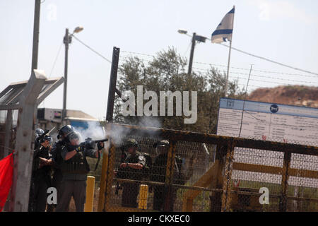 29. August 2012 - Ramallah, Westjordanland, Palästinensische Autonomiegebiete - israelische Soldaten laufen hinter palästinensischen Demonstranten außerhalb der Ofer Militärgefängnis, in der Nähe von der Westbank Ramallah am 28. August 2012, während einer Demonstration in Solidarität mit den palästinensischen Häftlinge in israelischen Gefängnissen (Credit-Bild: © Issam Rimawi/APA Images/ZUMAPRESS.com) Stockfoto