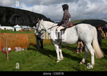 Yorkshire UK: Kleine Rassen und Ponys im 115. jährliche Kilnsey Show & Sports an Feiertag Dienstag, 28. August 2012. Die Yorkshire Dales Prunkstück ist von Upper Wharfedale Landwirtschafts-Gesellschaft in der Nähe von Kilnsey Crag 12 Meilen nördlich von Skipton inszeniert. Stockfoto