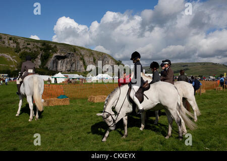 Yorkshire UK: Kleine Rassen und Ponys im 115. jährliche Kilnsey Show & Sports an Feiertag Dienstag, 28. August 2012. Die Yorkshire Dales Prunkstück ist von Upper Wharfedale Landwirtschafts-Gesellschaft in der Nähe von Kilnsey Crag 12 Meilen nördlich von Skipton inszeniert. Stockfoto