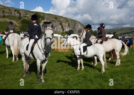 Yorkshire, Vereinigtes Königreich. Kleine Rassen und Ponys im 115. jährliche Kilnsey Show & Sports auf Dienstag, 28. August 2012. Die Yorkshire Dales Prunkstück ist von Upper Wharfedale Landwirtschafts-Gesellschaft in der Nähe von Kilnsey Crag 12 Meilen nördlich von Skipton inszeniert. Stockfoto