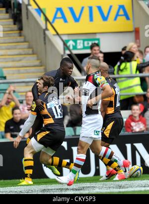 01.09.2012. London, England. Christian Wade von London Wasps feiert seinen Versuch während der Aviva Premiership-Partie zwischen London Wasps und Harlekine im Twickenham Stadion am 1. September 2012 in Twickenham, England. Stockfoto