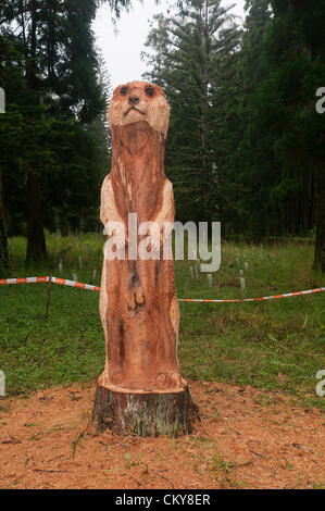 Emmanuel Courtot gesponsert von STIHL etc. tun Holzschnitzerei von 27 August bis 2. September 2012 Stockfoto