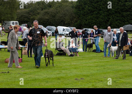 2. September 2012. Northants Greyhound Rescue Gala Day. Im Holiday Inn. Crick.  Northamptonshire UK. NGR wurde ist eine Wohltätigkeitsorganisation registriert und im Jahr 2000, im Ruhestand, verlassene und unerwünschte Windhunde im Bereich Northamptonshire eine Rettung, Rehabilitation und Notvermittlung Service anzubieten. Stockfoto