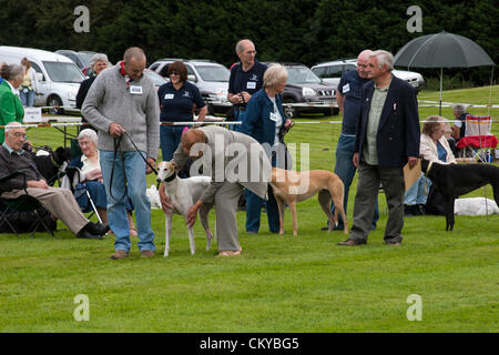 2. September 2012. Northants Greyhound Rescue Gala Day. Im Holiday Inn. Crick.  Northamptonshire UK. NGR wurde ist eine Wohltätigkeitsorganisation registriert und im Jahr 2000, im Ruhestand, verlassene und unerwünschte Windhunde im Bereich Northamptonshire eine Rettung, Rehabilitation und Notvermittlung Service anzubieten. Stockfoto