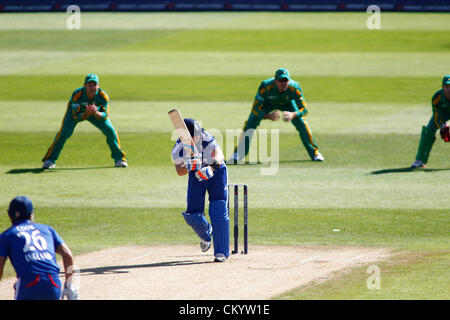 Nottingham, England. 5. September 2012. Englands Ian Bell während der 5. Nat West eintägigen internationalen Cricket match zwischen England und Südafrika und spielte bei Trent Bridge Cricket Ground: obligatorische Kredit: Mitchell Gunn / Alamy Live News Stockfoto