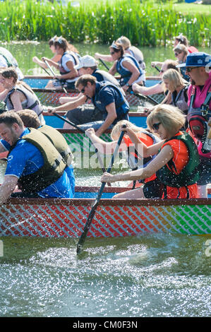 CAmbridge, UK. 8. September 2012. Konkurrenten genießen das Spätsommer-Wetter Cambridge Dragon Boat Festival, auf dem Fluss Cam Fen Ditton Cambridge UK, 8. September 2012.  Rund 50 Teams aus lokalen Organisationen nahmen Teil an den Rennen der 30 Fuß langen chinesischen Drachenbooten um Geld für die East Anglian Kinder Hospize paddeln. Bildnachweis: Julian Eales / Alamy Live News Stockfoto