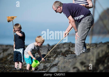 Aberystwyth Wales UK, Samstag, 8. September 2012 Menschen genießen das warme sonnige Wetter am Strand und im Meer in diesem West wales Badeort auf einem September Samstag Nachmittag.  Eine Familie erkunden die Fels-Pools am Meer nach dem feuchtesten Sommer in Großbritannien seit Jahrzehnten, das warme trockene Wetter Mitte September kommt als willkommene Entschädigung Foto. Bildnachweis: Keith Morris / Alamy Live News Stockfoto