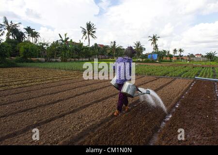 15. September 2012 - Phnom Penh, Kambodscha - Gewässern eine kambodschanische Frau einen Garten entlang des Mekong-Flusses in der Nähe von Phnom Penh, Kambodscha, Freitag, 14. September 2012. (Kredit-Bild: © David Longstreath/ZUMAPRESS.com) Stockfoto