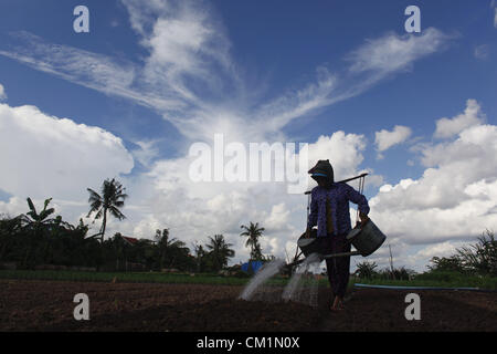 15. September 2012 - Phnom Penh, Kambodscha - Gewässern eine kambodschanische Frau einen Garten entlang des Mekong-Flusses in der Nähe von Phnom Penh, Kambodscha, Freitag, 14. September 2012. (Kredit-Bild: © David Longstreath/ZUMAPRESS.com) Stockfoto