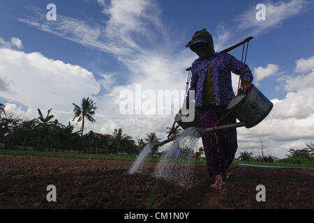 15. September 2012 - Phnom Penh, Kambodscha - Gewässern eine kambodschanische Frau einen Garten entlang des Mekong-Flusses in der Nähe von Phnom Penh, Kambodscha, Freitag, 14. September 2012. (Kredit-Bild: © David Longstreath/ZUMAPRESS.com) Stockfoto