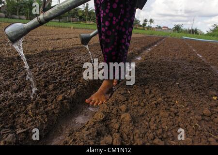 15. September 2012 - Phnom Penh, Kambodscha - Gewässern eine kambodschanische Frau einen Garten entlang des Mekong-Flusses in der Nähe von Phnom Penh, Kambodscha, Freitag, 14. September 2012. (Kredit-Bild: © David Longstreath/ZUMAPRESS.com) Stockfoto