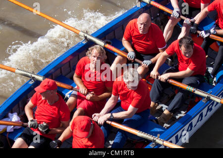 15. September 2012. Fluss Themse London, England, Vereinigtes Königreich.  Die Great River Race. Stockfoto