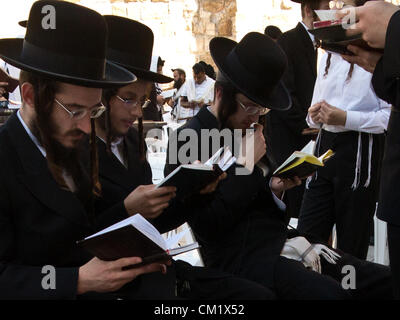 Ultra-orthodoxen religiösen Männer mit traditionellen langen Schläfenlocken betet an der Klagemauer, der Kotel, am Vorabend des jüdischen Neujahrs, Rosch Haschana. Jerusalem, Israel. 16. September 2012.  Tausenden betet an der Klagemauer am Vorabend des jüdischen Neujahrs zum letzten Mal im Jahr 5772. Nach dem jüdischen Kalender beginnt das Jahr 5773 und die hohen jüdischen Feiertage heute Abend nach Sonnenuntergang. Stockfoto