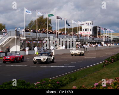 Goodwood Revival Praxis Tag Freitag September 14th.2012. Drei Rennen Cobra Ansatz die Ziellinie vor den Gruben und beobachtete Menschenmassen an diesem historischen Ort. Stockfoto