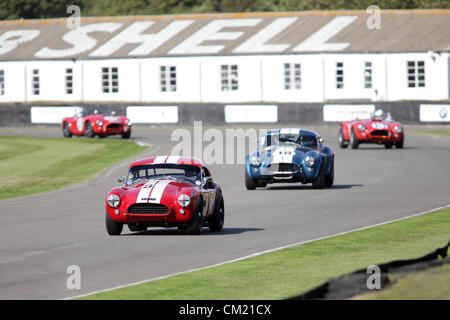Goodwood Estate, Chichester, UK. 15. September 2012.  Rot 1962 AC Cobra gefolgt von einem blauen 1963 AC Cobra während der Shelby-Cup, eine 45-minütige zwei Fahrer Cup für AC, Shelby und Willment Kobras beim Goodwood Revival. Die Wiederbelebung ist eine "magische Schritt zurück in die Zeit", präsentiert eine Mischung aus Autos und Luftfahrt aus den 40's, 50er und 60er Jahre und ist eines der beliebtesten historischen Motorsport-Ereignisse in der Welt. Besuchen Sie für weitere Informationen www.goodwood.co.uk/revival. Stockfoto