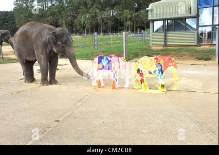 Bedfordshire, UK. 19. September 2012. Elefant Künstler holt einen Pinsel für Elefanten Wertschätzung Wochenende ZSL Whipsnade Zoo Dickhäuter, die Picasso bereitet einen Pinsel abholen und zeigen Sie ihre künstlerischen Talente vor Elefanten Wertschätzung Wochenende, Elephantasia.    Vierzehn Jahre alten asiatische Elefanten Karishma nutzt ihrem Rüssel um hölzerne Elefanten mit bunten Farbtupfern Farbe im Vorfeld bis zum Wochenende – die Beschaffung von lebenswichtigen Mitteln für den Zoo weltweit Elefant Erhaltung und Forschung Projekte schmücken.    Elefant-Keeper Elizabeth Becker sagte: "Karishma R Stockfoto