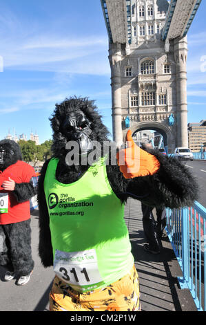 Tower Bridge, London, UK. 22. September 2012. Läufer in Gorilla-Anzüge und Kostüme cross Tower Bridge. Der Great Gorilla Run findet in der Nähe der Tower of London. Menschen laufen die 7 k Strecke gekleidet in Gorilla-Anzügen zugunsten verschiedene Wohltätigkeitsorganisationen. Stockfoto
