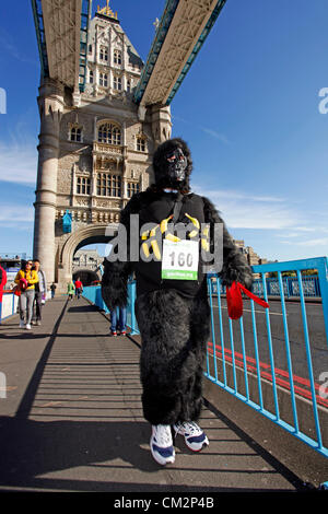 London, UK. 22. September 2012. Großen Gorilla laufen 2012 ein Charity-Lauf verkleidet als Gorillas, die Berggorillas zu speichern Stockfoto