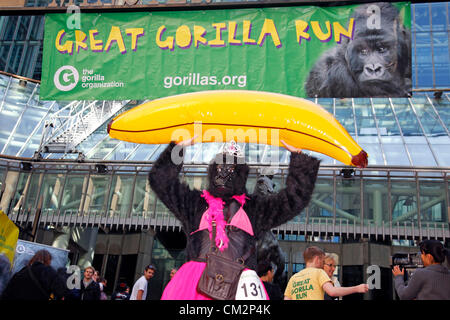 London, UK. 22. September 2012. Großen Gorilla laufen 2012 ein Charity-Lauf verkleidet als Gorillas, die Berggorillas zu speichern Stockfoto