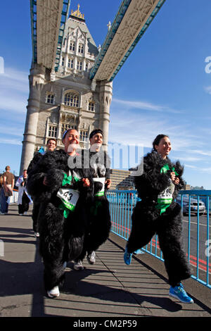 London, UK. 22. September 2012. Adam Garcia mit Freunden Diane und Adele an der großen Gorilla laufen 2012 ein Charity-Lauf verkleidet als Gorillas, die Berggorillas zu speichern Stockfoto