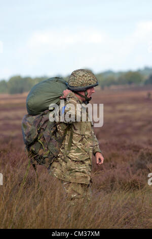 Britische Fallschirmjäger landeten auf der Ginkelse Heide nach Fallschirm aus einem RAF Hercules während der Gärtnerei Memorial, Ginkelse Heide, Niederlande, auf Samstag, 22. September 2012, 68 Jahre nach der Operation Market Garden. Market Garden war eine große alliierte militärische Operation in der gleichen Gegend im September 1944 Stockfoto