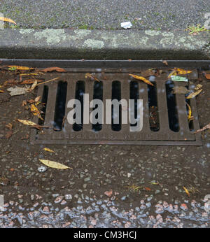 Tamworth, UK. 26. September 2012. Wasser, das sich durch einen am Straßenrand Abfluss nach einem heftigen Sturm. Stockfoto