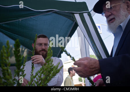 Ordensmänner prüfen sorgfältig Haddas, Äste mit Blättern aus der Myrte und eines der "vier Arten", vor dem Kauf auf dem vier Arten in der Nähe von Bait-Vagan. Jerusalem, Israel. 27. September 2012.  Mit Jom Kippur über beginnen die Vorbereitungen sofort für Sukkot, das Laubhüttenfest. Religiöse Juden kontrollieren und kaufen die "vier Arten", wie befohlen in Leviticus 23:40. Jede leichte Unvollkommenheit wird die Frucht ungültig. Stockfoto