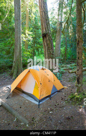 25. August 2012 - Newhalem, Washington, USA - 25. August 2012, Newhalem, Washington - ist inmitten des Holzes bei Colonial Creek Campground, einer der beliebtesten Campingplätze in North Cascades National Park ein Zelt aufgeschlagen. (Kredit-Bild: © David Snyder/ZUMAPRESS.com) Stockfoto