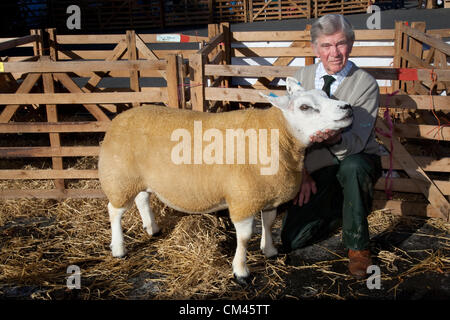 Robert Newby, 80years alt, mit seiner Meisterschaft Texel Ewe an der jährlichen Beurteilung der Schafe und Messe, ein Charity-Event am 29. & 30. September 2012 in Masham Marktplatz in der Nähe von Ripon in North Yorkshire Dales statt. VEREINIGTES KÖNIGREICH. Stockfoto