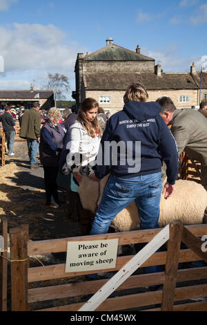 Warnschild über Schafe zu bewegen und zu urteilen Pantoletten an der jährlichen Beurteilung der Schafe und Messe, ein Charity-Event am 29. & 30. September 2012 in Masham Marktplatz in der Nähe von Ripon in North Yorkshire Dales statt. VEREINIGTES KÖNIGREICH. Stockfoto