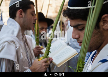 Jerusalem, Israel. 3. Oktober 2012. Religiöse Juden halten und schütteln die vier Arten während der Gottesdienste an der Klagemauer zu Sukkot. Jerusalem, Israel. 3. Oktober 2012.  Tausende von jüdischen Pilgern aufsteigen zur Klagemauer am Feiertag von Sukkot, einer der drei jährlichen Wallfahrten, um den Segen der Priester, Birkat Kohanim (Hebräisch), zweimal im Jahr auftreten. Bildnachweis: Nir Alon / Alamy Live News Stockfoto