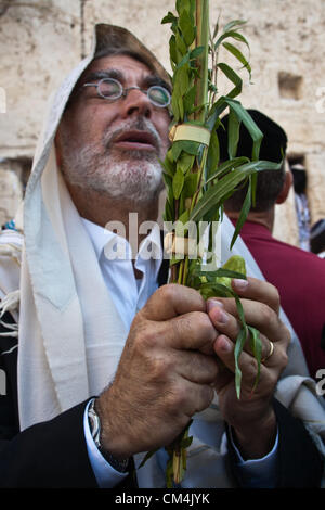 Jerusalem, Israel. 3. Oktober 2012. Religiöse Juden halten und schütteln die vier Arten während der Gottesdienste an der Klagemauer zu Sukkot. Jerusalem, Israel. 3. Oktober 2012.  Tausende von jüdischen Pilgern aufsteigen zur Klagemauer am Feiertag von Sukkot, einer der drei jährlichen Wallfahrten, um den Segen der Priester, Birkat Kohanim (Hebräisch), zweimal im Jahr auftreten. Bildnachweis: Nir Alon / Alamy Live News Stockfoto